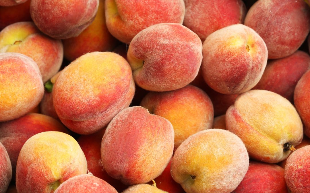 Palisade Peach Festival 2023